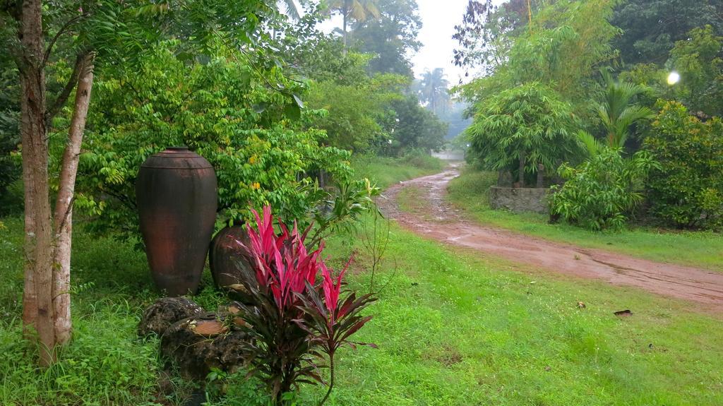 Clayfingers Art Cottage Thrissur ห้อง รูปภาพ