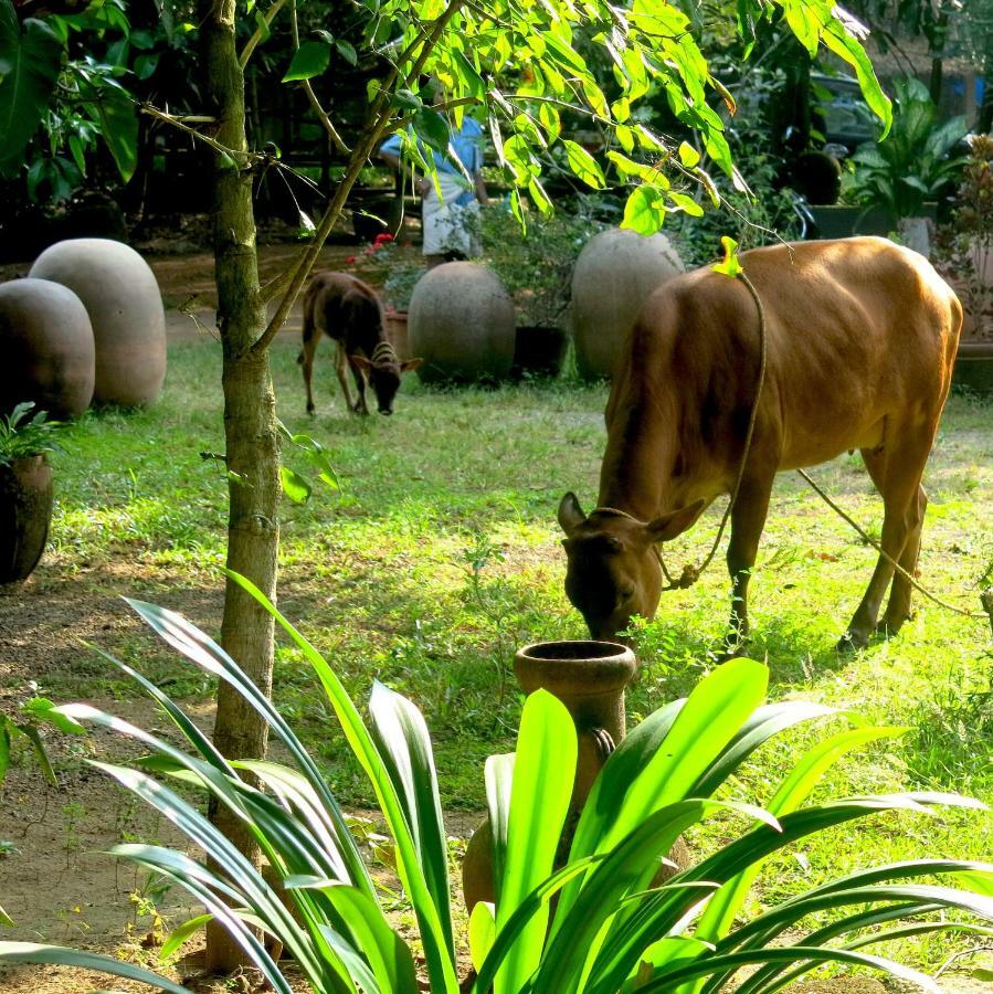 Clayfingers Art Cottage Thrissur ภายนอก รูปภาพ