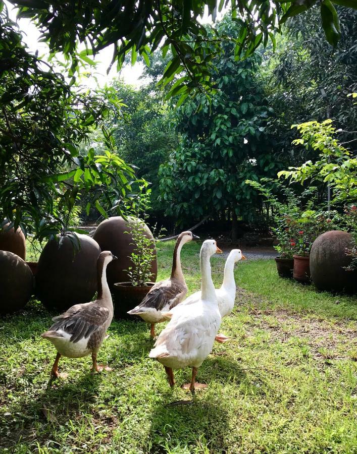 Clayfingers Art Cottage Thrissur ภายนอก รูปภาพ